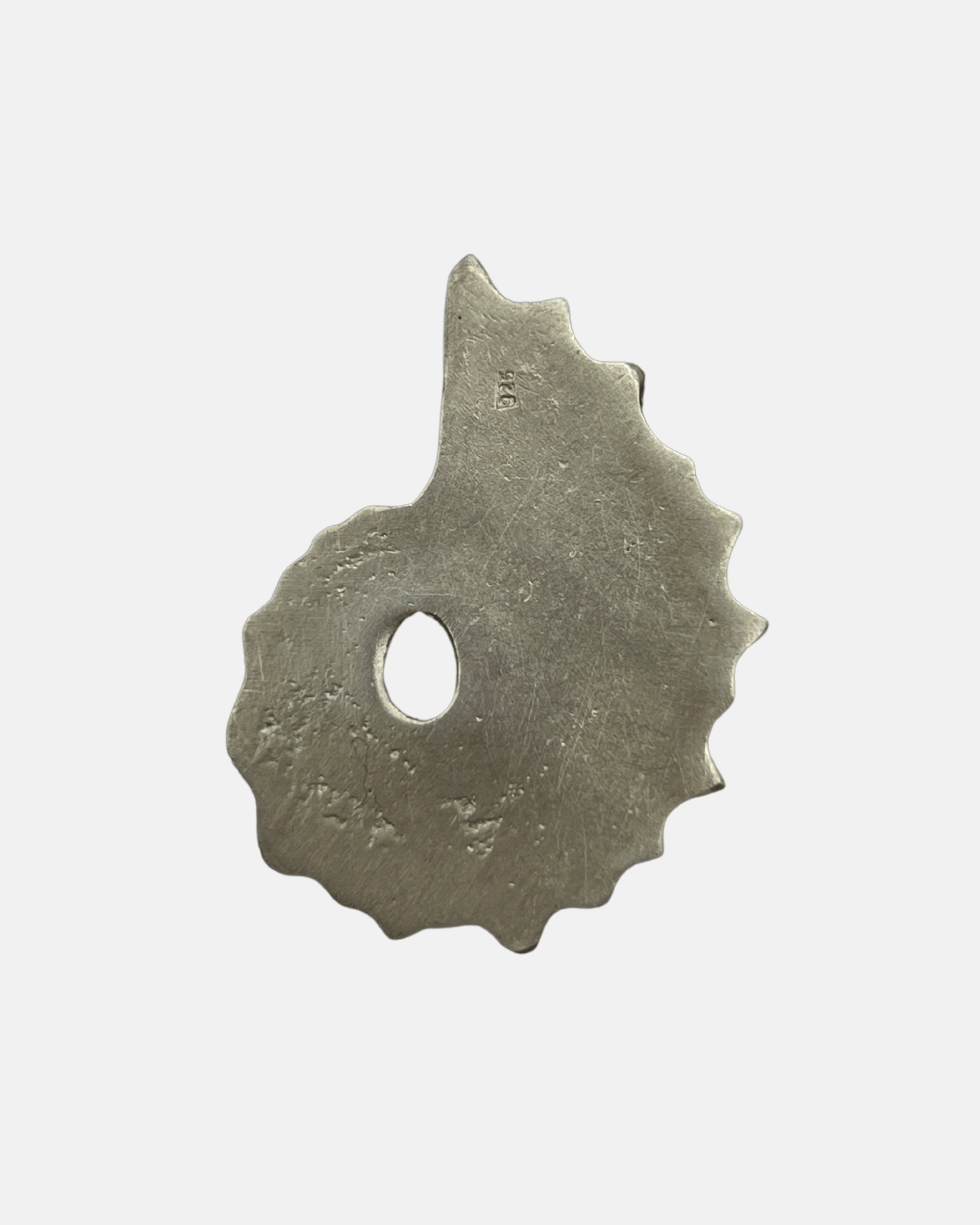 Ammonite