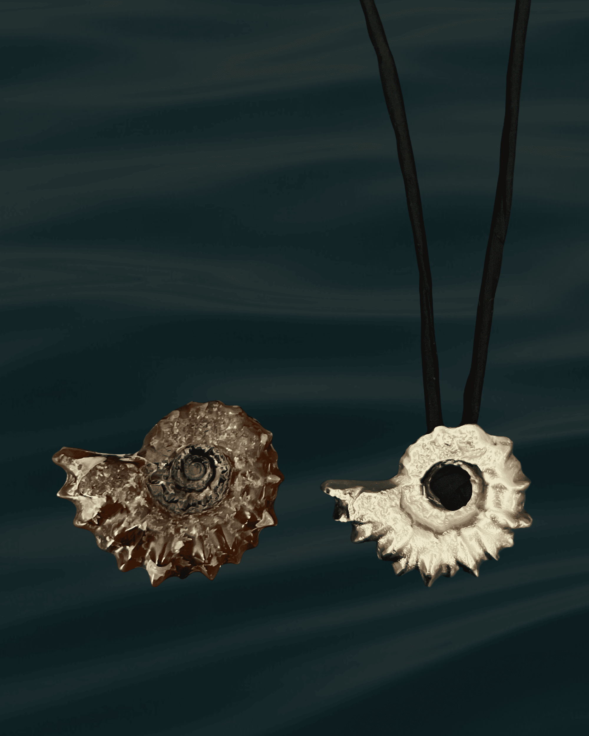 Ammonite