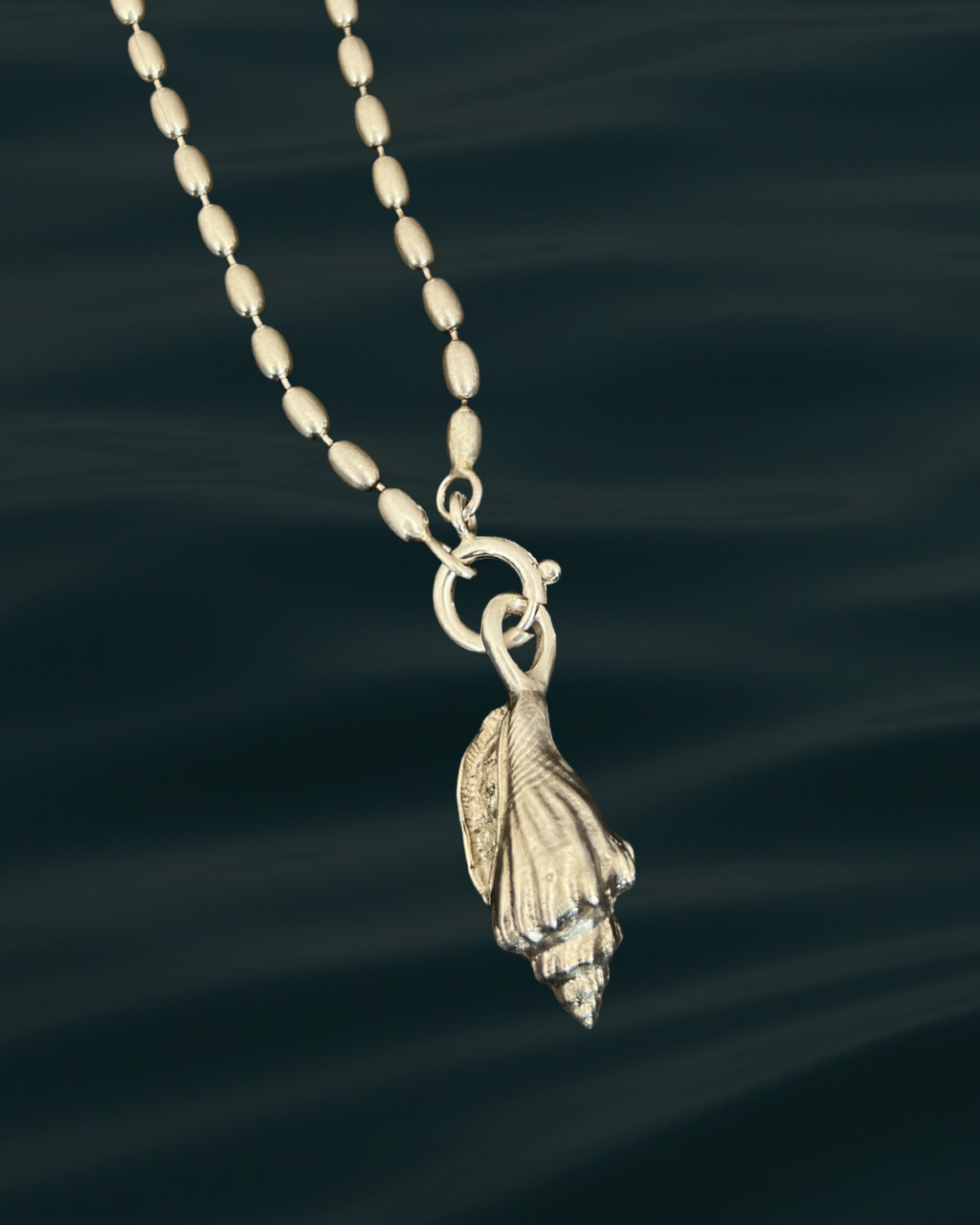 Asa | wing snail