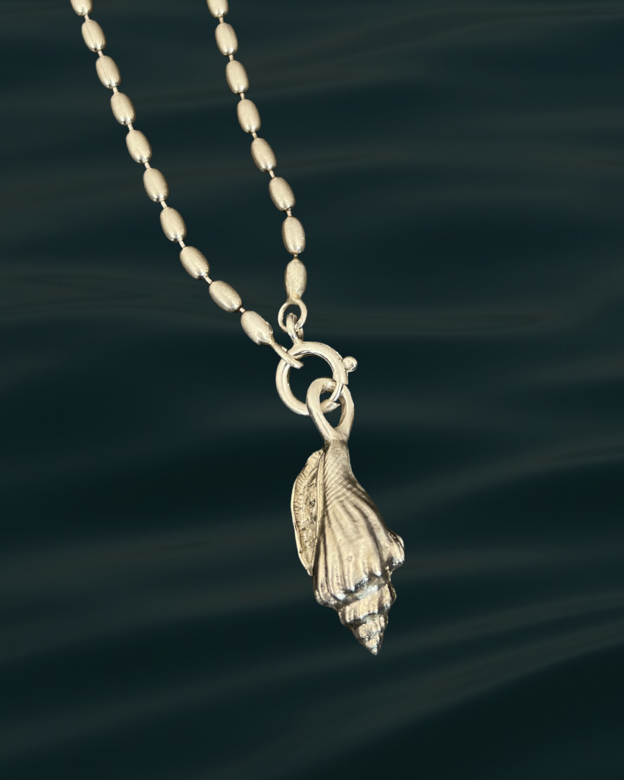 Asa | wing snail