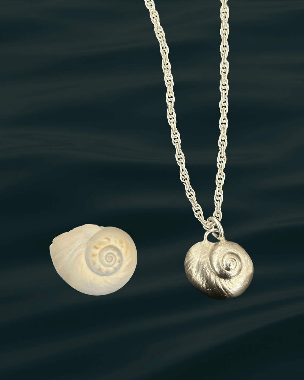 Lua | moon snail