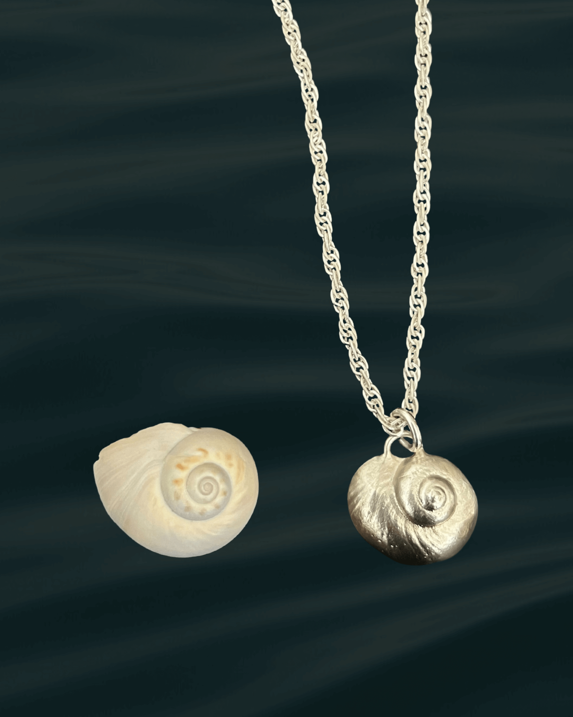 Lua | moon snail