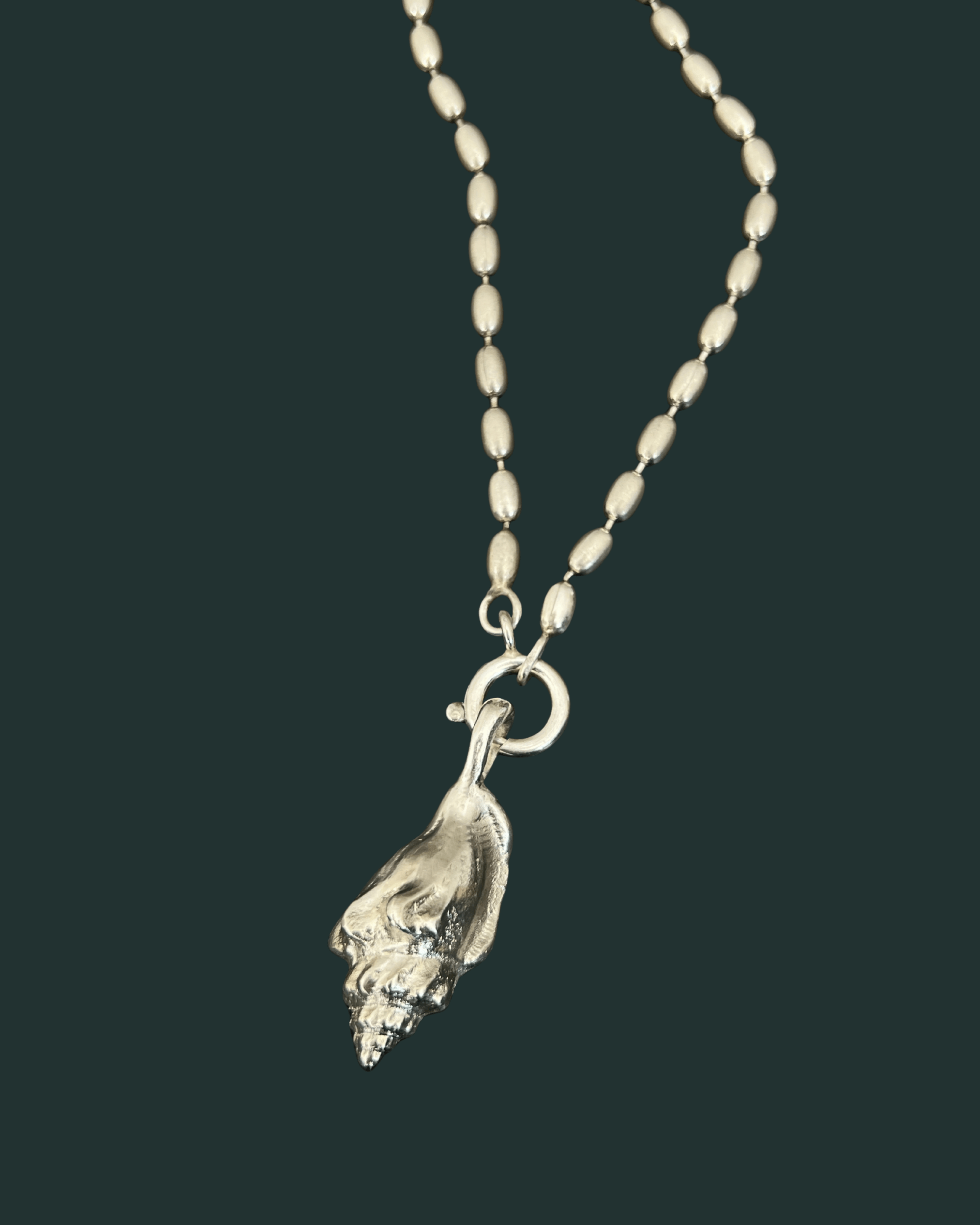 Asa | wing snail