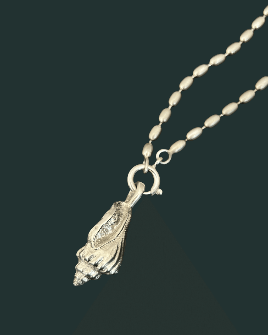 Asa | wing snail