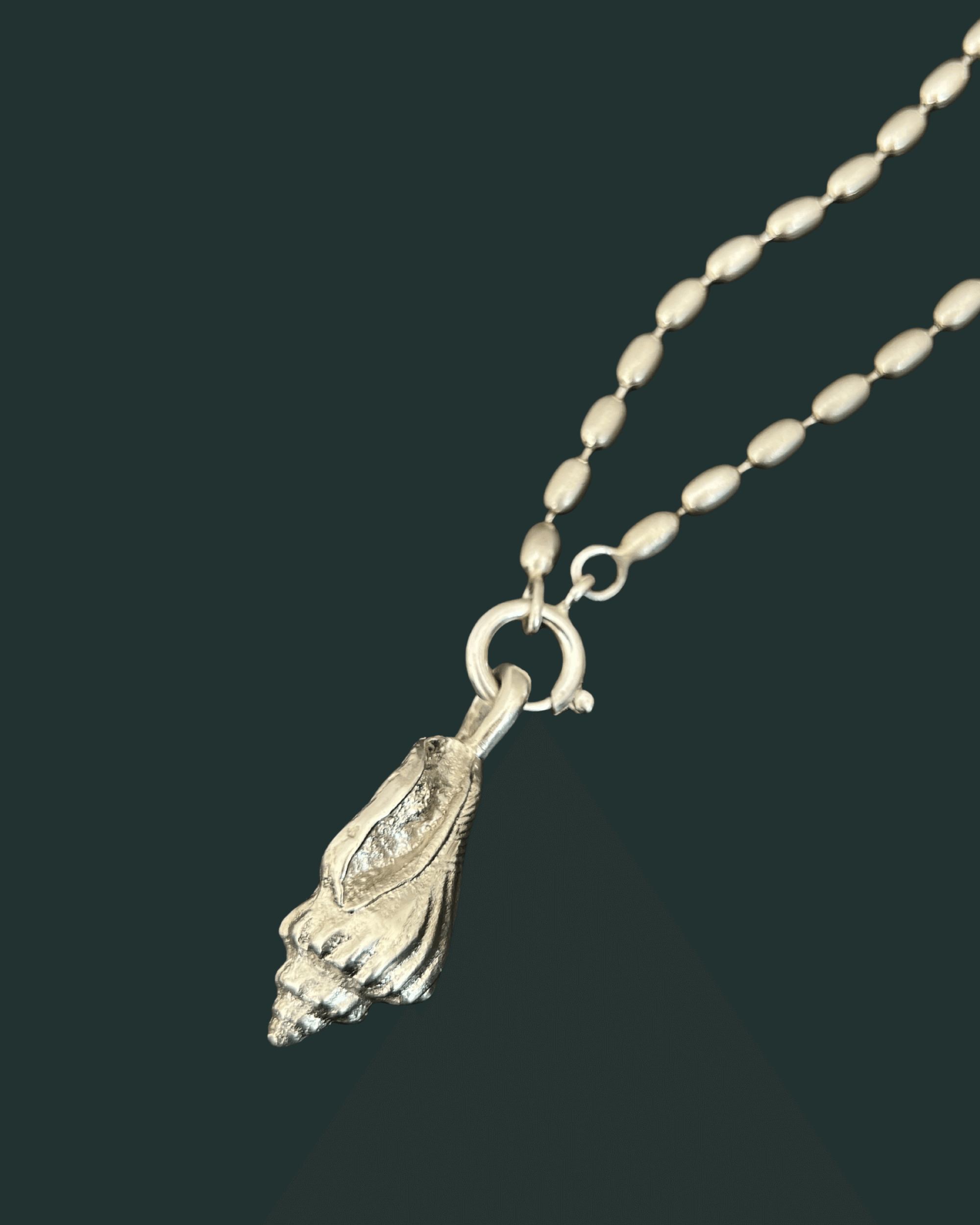 Asa | wing snail