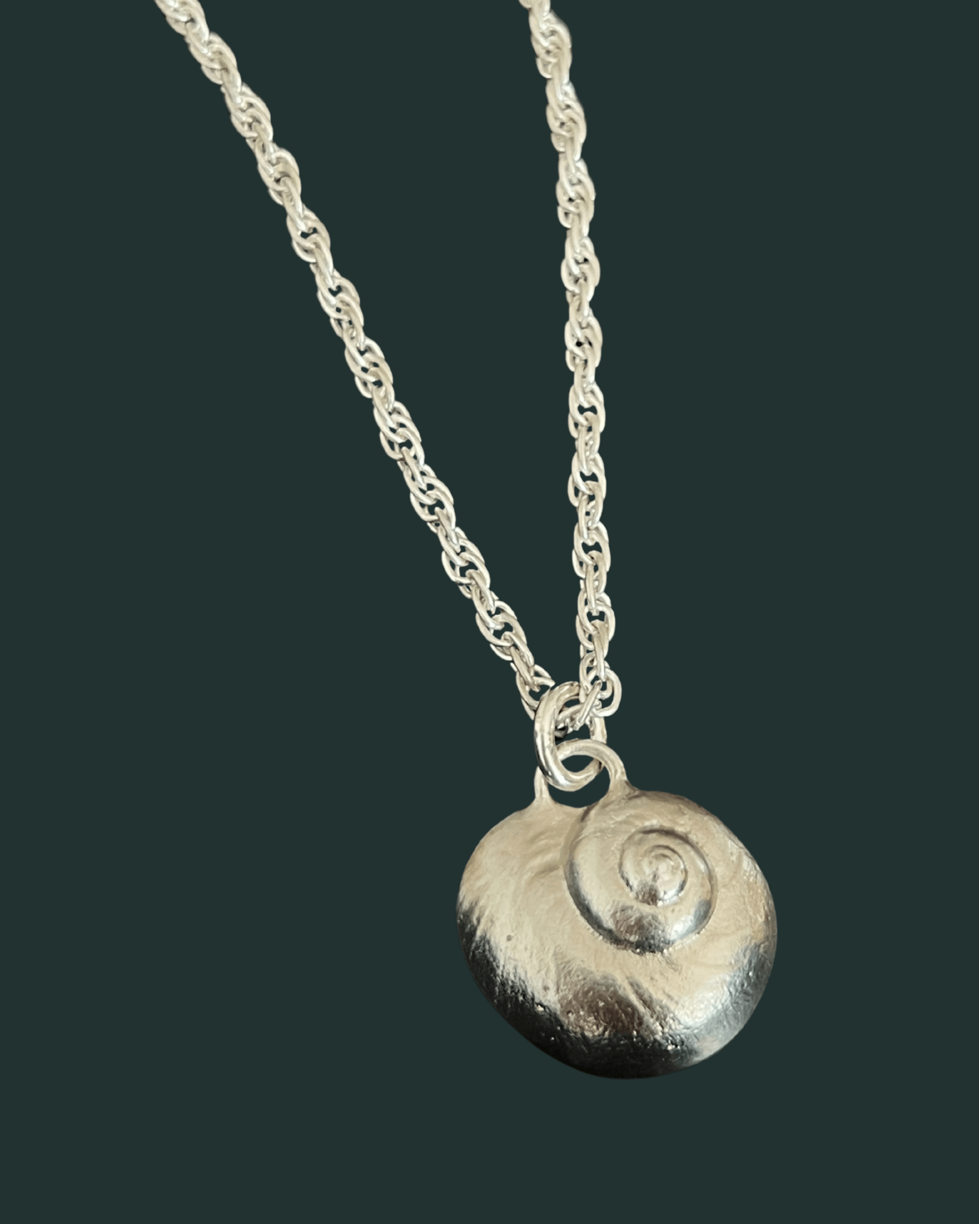 Lua | moon snail