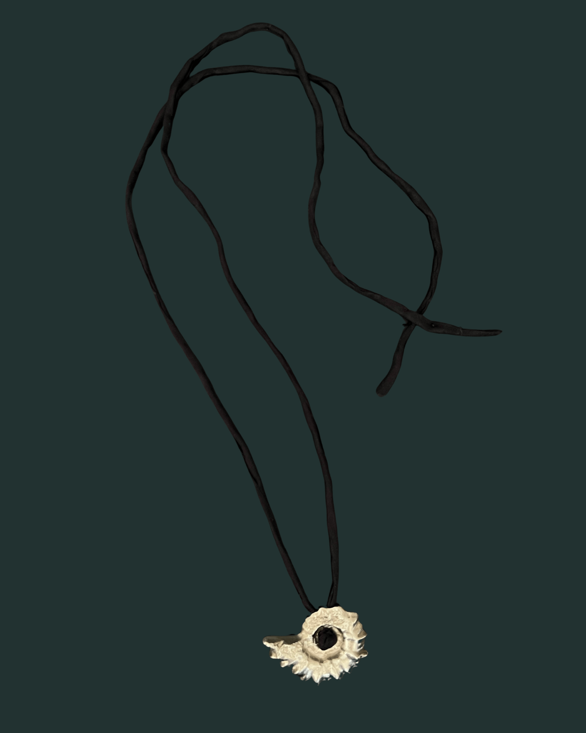 Ammonite