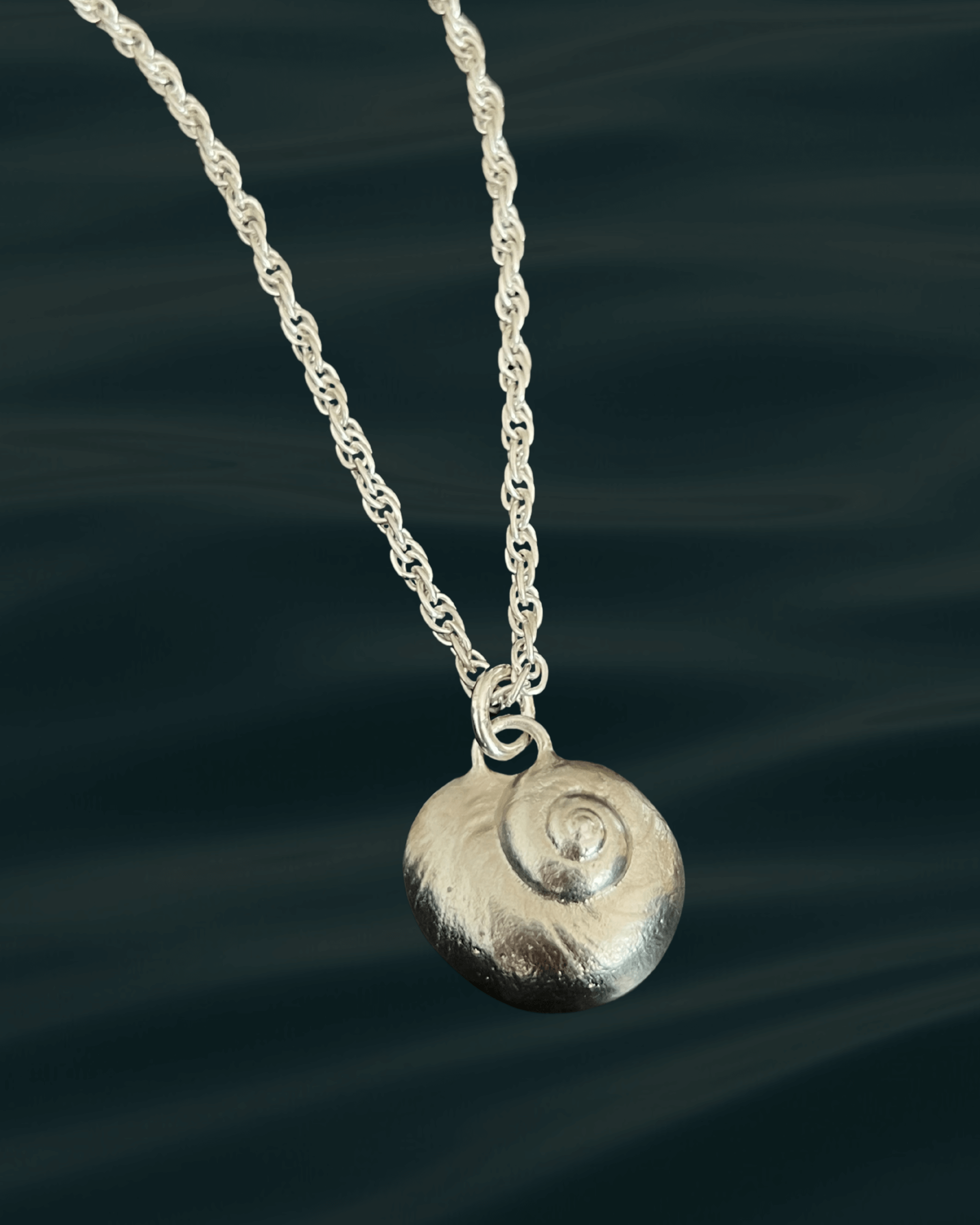 Lua | moon snail